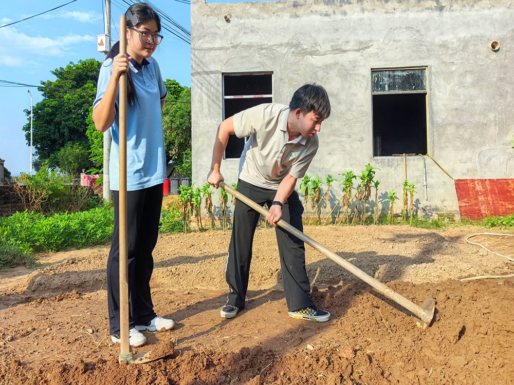张家口正规青少年成长培育机构推荐指南