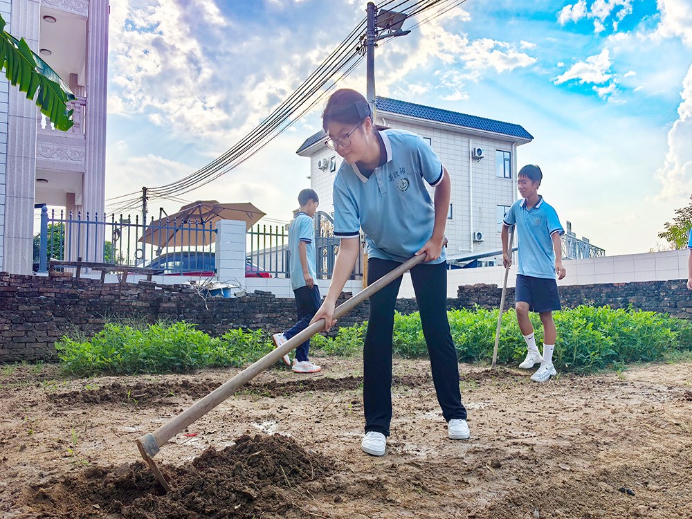 张家口孩子叛逆心理辅导机构怎么联系?实地走访与选择指南